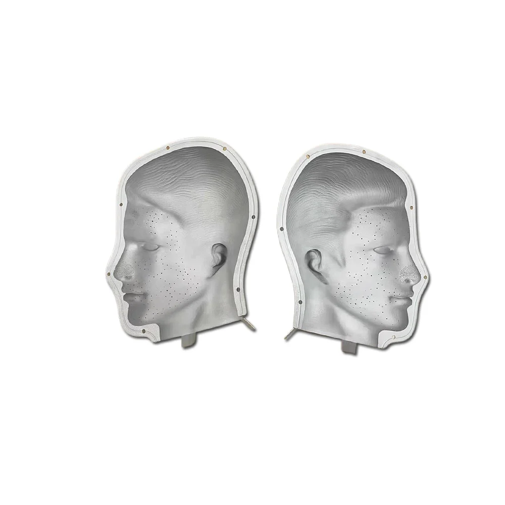 Anatomical Form Samples