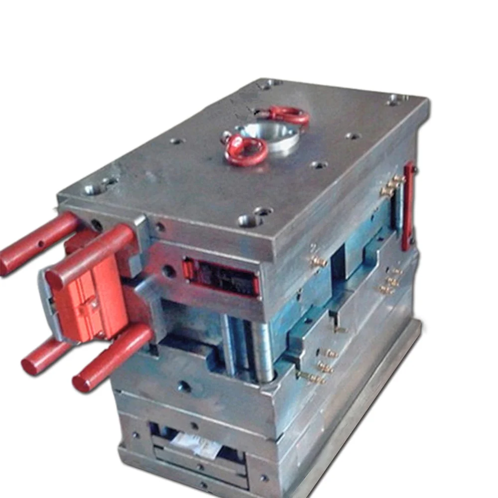 Custom Mold Assembly